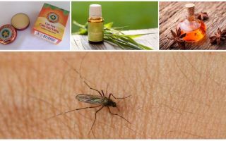 Преглед на народни средства за комари и комари в природата