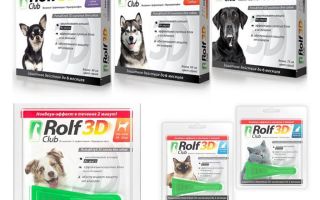 Капки Rolf Club 3D от бълхи за кучета и котки