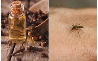 Карамфилово масло срещу комари