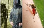 Дрехи от комари, кърлежи и камшици - общ преглед
