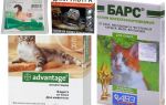 Капки на холката от бълхи за котки и котенца