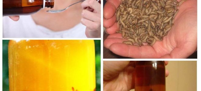 Тинктура от пчелни молци: какво третира и как да я използвате