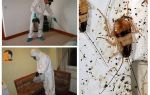 Унищожаване на хлебарки в апартамента