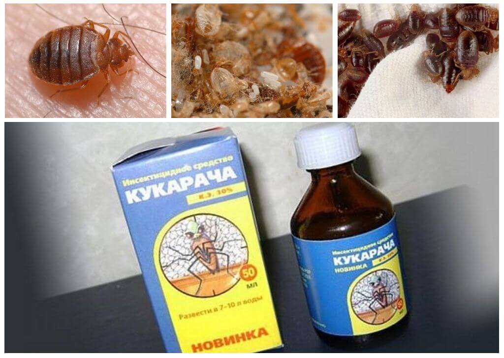 Cucaracha лек за дървеници-1