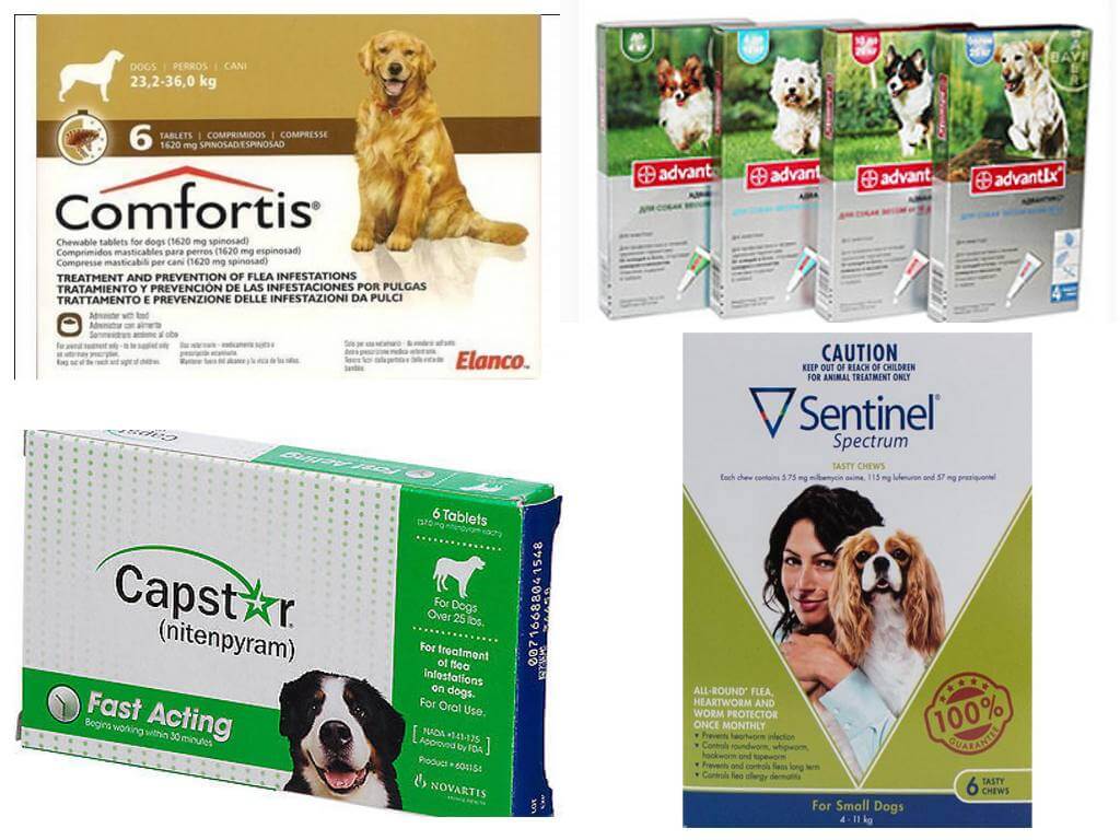 Бълха таблетки за кучета