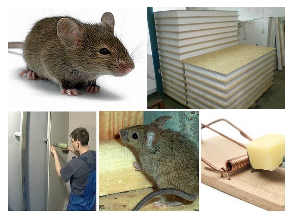 SIP панели и мишки