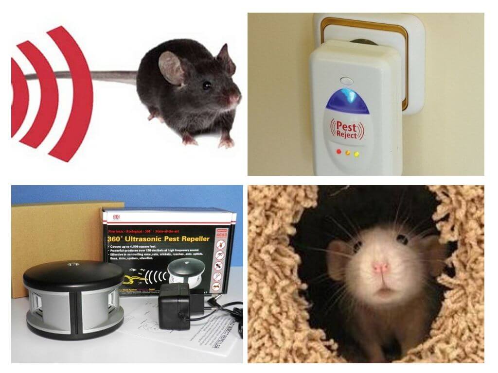 Инсталирайте репелер от мишки