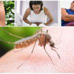 Последици от ухапването на малариите при комарите