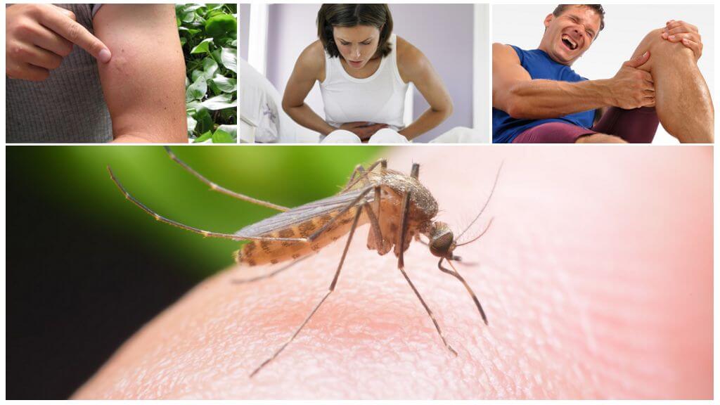 Последици от ухапването на малариите при комарите